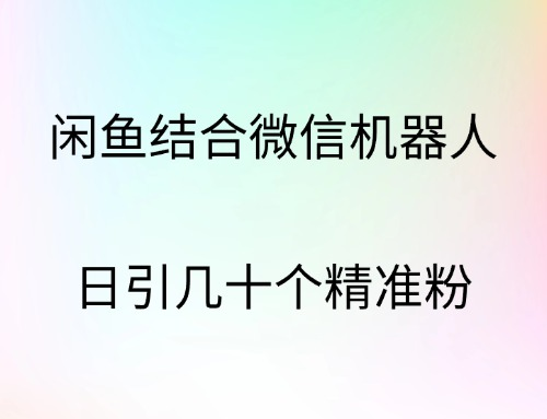 闲鱼结合微信机器人，日引几十个精准粉去创吧-网创项目资源站-副业项目-创业项目-搞钱项目黑蛋搞钱