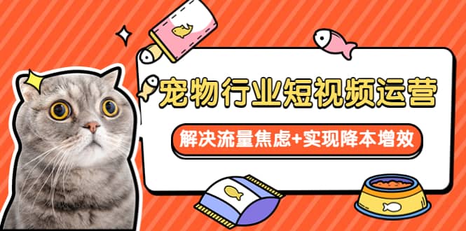 宠物/行业短视频运营 流量增长的一层窗户纸 解决流量焦虑+实现降本增效去创吧-网创项目资源站-副业项目-创业项目-搞钱项目黑蛋搞钱