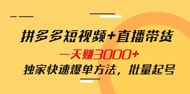 拼多多短视频+直播带货，一天赚3000+独家快速爆单方法，批量起号去创吧-网创项目资源站-副业项目-创业项目-搞钱项目黑蛋搞钱