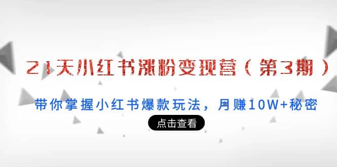 21天小红书涨粉变现营（第3期）：带你掌握小红书爆款玩法，月赚10W+秘密去创吧-网创项目资源站-副业项目-创业项目-搞钱项目黑蛋搞钱