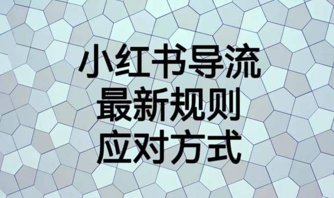 小红书导流最新规则应对方式【揭秘】去创吧-网创项目资源站-副业项目-创业项目-搞钱项目黑蛋搞钱