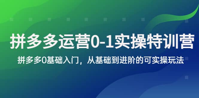 拼多多-运营0-1实操训练营，拼多多0基础入门，从基础到进阶的可实操玩法去创吧-网创项目资源站-副业项目-创业项目-搞钱项目黑蛋搞钱