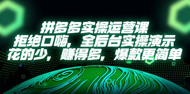 拼多多实操运营课：拒绝口嗨，全后台实操演示，花的少，赚得多，爆款更简单去创吧-网创项目资源站-副业项目-创业项目-搞钱项目黑蛋搞钱