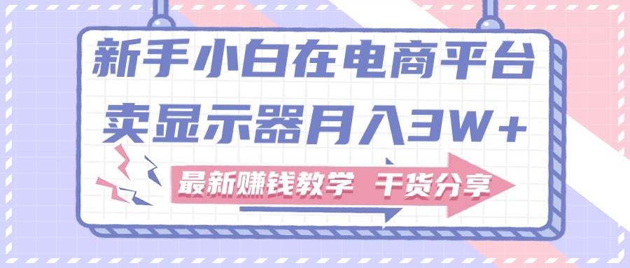 新手小白如何做到在电商平台卖显示器月入3W+，最新赚钱教学干货分享去创吧-网创项目资源站-副业项目-创业项目-搞钱项目黑蛋搞钱