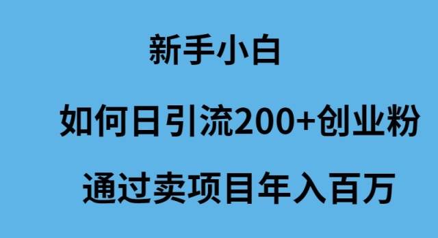 新手小白如何日引流200+创业粉通过卖项目年入百万去创吧-网创项目资源站-副业项目-创业项目-搞钱项目黑蛋搞钱