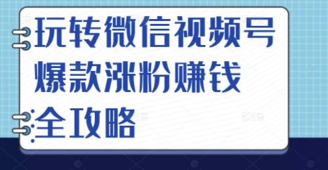 玩转微信视频号爆款涨粉赚钱全攻略，让你快速抓住流量风口，收获红利财富去创吧-网创项目资源站-副业项目-创业项目-搞钱项目黑蛋搞钱