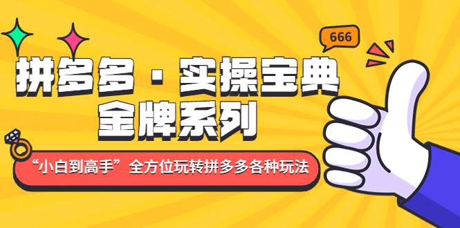 拼多多·实操宝典：金牌系列“小白到高手”带你全方位玩转拼多多各种玩法去创吧-网创项目资源站-副业项目-创业项目-搞钱项目黑蛋搞钱