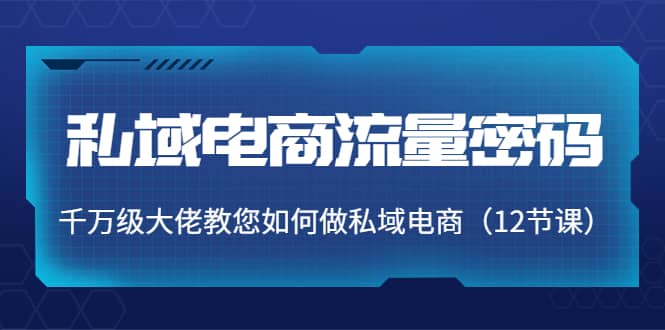 私域电商流量密码：千万级大佬教您如何做私域电商（12节课）去创吧-网创项目资源站-副业项目-创业项目-搞钱项目黑蛋搞钱
