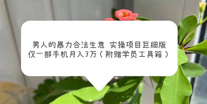 男人的暴力合法生意实操项目巨细版：仅一部手机月入3w（附赠学员工具箱）去创吧-网创项目资源站-副业项目-创业项目-搞钱项目黑蛋搞钱