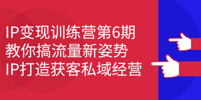 IP变现训练营第6期：教你搞流量新姿势，IP打造获客私域经营去创吧-网创项目资源站-副业项目-创业项目-搞钱项目黑蛋搞钱