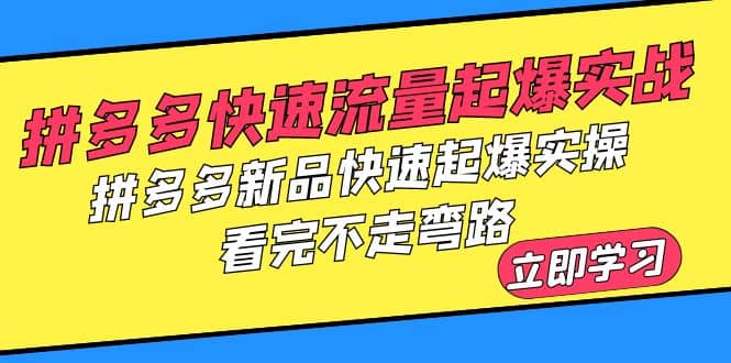 拼多多-快速流量起爆实战，拼多多新品快速起爆实操，看完不走弯路去创吧-网创项目资源站-副业项目-创业项目-搞钱项目黑蛋搞钱