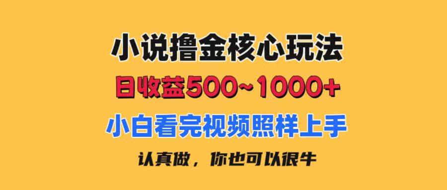 小说撸金核心玩法，日收益500-1000+，小白看完照样上手，0成本有手就行去创吧-网创项目资源站-副业项目-创业项目-搞钱项目黑蛋搞钱