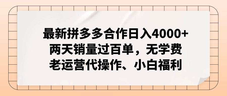 最新拼多多合作日入4000+两天销量过百单，无学费、老运营代操作、小白福利去创吧-网创项目资源站-副业项目-创业项目-搞钱项目黑蛋搞钱