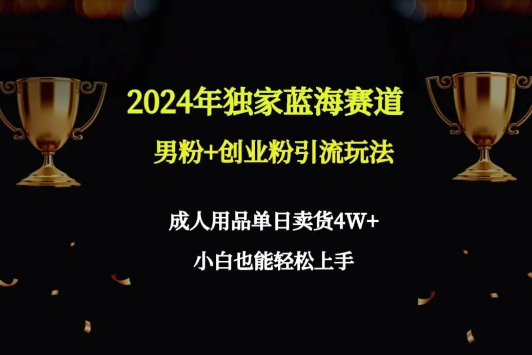 2024年独家蓝海赛道男粉+创业粉引流玩法，成人用品单日卖货4W+保姆教程去创吧-网创项目资源站-副业项目-创业项目-搞钱项目黑蛋搞钱