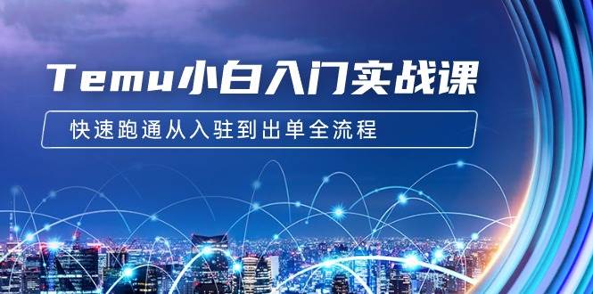 Temu小白入门实战课：跨境拼多多电商培训 快速跑通从入驻到出单全流程-12节去创吧-网创项目资源站-副业项目-创业项目-搞钱项目黑蛋搞钱