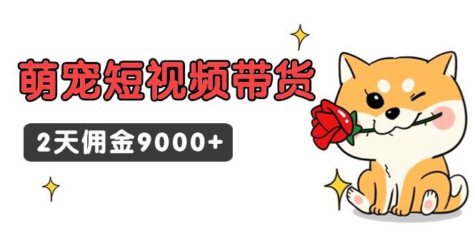东哲日记·萌宠短视频带货，2天佣金9000+去创吧-网创项目资源站-副业项目-创业项目-搞钱项目黑蛋搞钱
