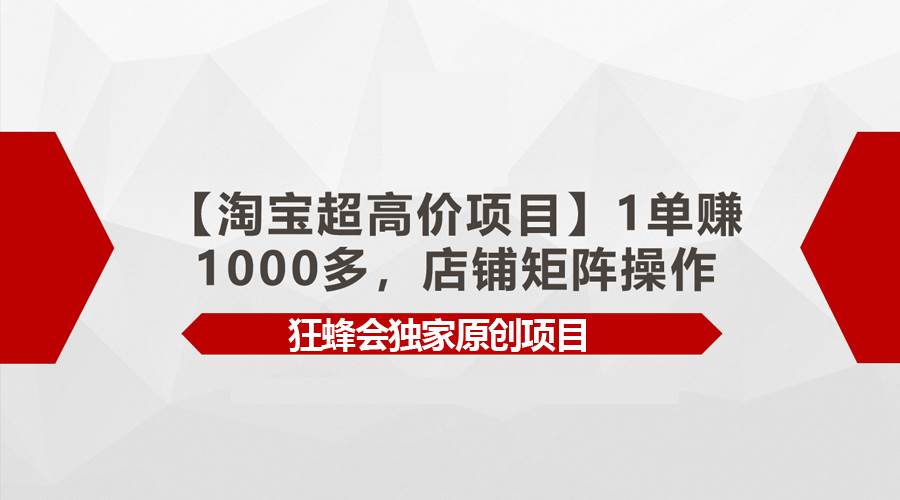 【淘宝超高价项目】1单赚1000多，店铺矩阵操作去创吧-网创项目资源站-副业项目-创业项目-搞钱项目黑蛋搞钱
