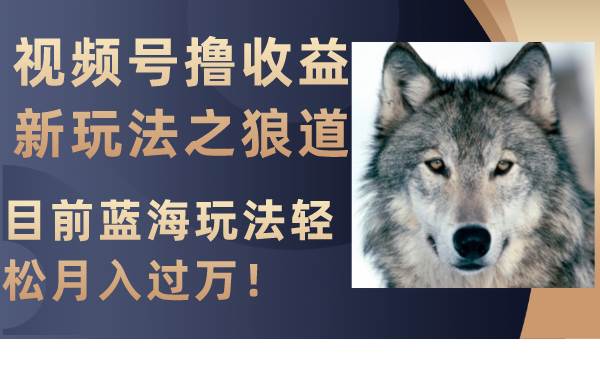 视频号撸收益新玩法之狼道，目前蓝海玩法轻松月入过万！去创吧-网创项目资源站-副业项目-创业项目-搞钱项目黑蛋搞钱