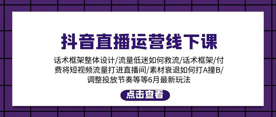 抖音直播运营线下课：话术框架/付费流量直播间/素材A撞B/等6月新玩法去创吧-网创项目资源站-副业项目-创业项目-搞钱项目黑蛋搞钱