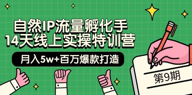 自然IP流量孵化手 14天线上实操特训营【第9期】月入5w+百万爆款打造 (74节)去创吧-网创项目资源站-副业项目-创业项目-搞钱项目黑蛋搞钱
