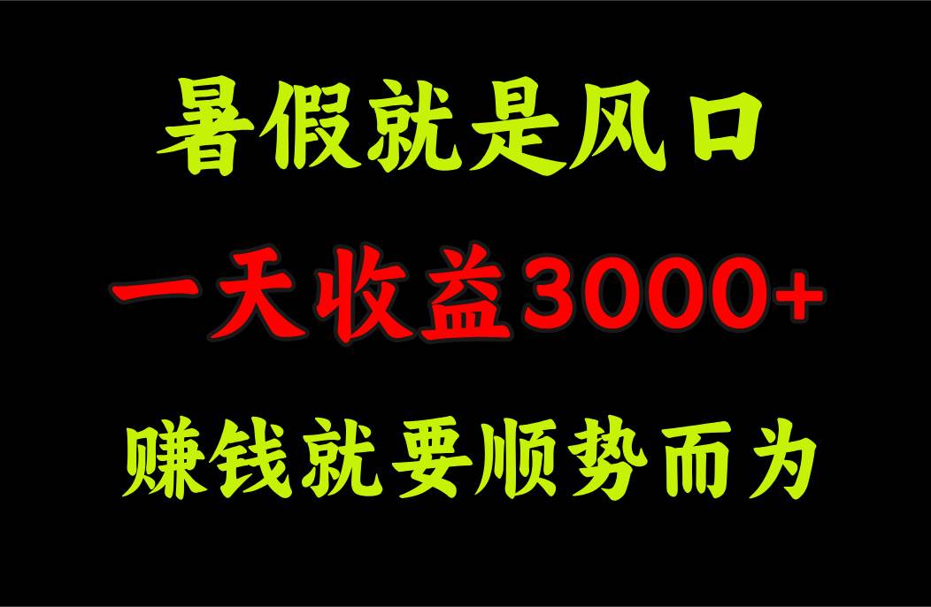 一天收益3000+ 赚钱就是顺势而为，暑假就是风口去创吧-网创项目资源站-副业项目-创业项目-搞钱项目黑蛋搞钱