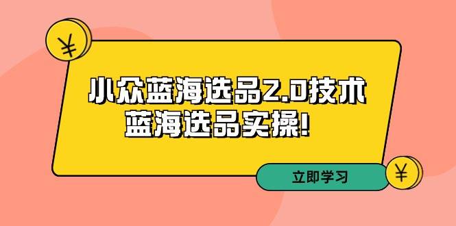 拼多多培训第33期：小众蓝海选品2.0技术-蓝海选品实操！去创吧-网创项目资源站-副业项目-创业项目-搞钱项目黑蛋搞钱