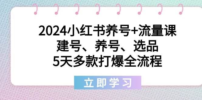 2024小红书养号+流量课：建号、养号、选品，5天多款打爆全流程去创吧-网创项目资源站-副业项目-创业项目-搞钱项目黑蛋搞钱