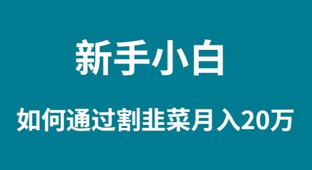 新手小白如何通过割韭菜月入 20W去创吧-网创项目资源站-副业项目-创业项目-搞钱项目黑蛋搞钱