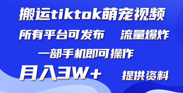 搬运Tiktok萌宠类视频，一部手机即可。所有短视频平台均可操作，月入3W+去创吧-网创项目资源站-副业项目-创业项目-搞钱项目黑蛋搞钱