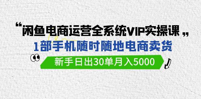 闲鱼电商运营全系统VIP实战课，1部手机随时随地卖货，新手日出30单月入5000去创吧-网创项目资源站-副业项目-创业项目-搞钱项目黑蛋搞钱
