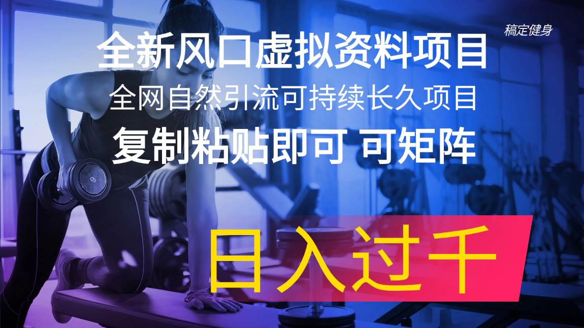 全新风口虚拟资料项目 全网自然引流可持续长久项目 复制粘贴即可可矩阵…去创吧-网创项目资源站-副业项目-创业项目-搞钱项目黑蛋搞钱