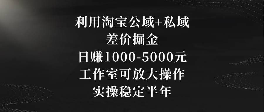 利用淘宝公域+私域差价掘金，日赚1000-5000元，工作室可放大操作，实操…去创吧-网创项目资源站-副业项目-创业项目-搞钱项目黑蛋搞钱