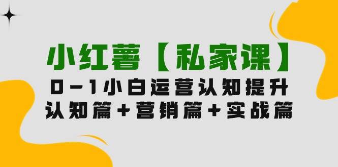 小红薯【私家课】0-1玩赚小红书内容营销，认知篇+营销篇+实战篇（11节课）去创吧-网创项目资源站-副业项目-创业项目-搞钱项目黑蛋搞钱