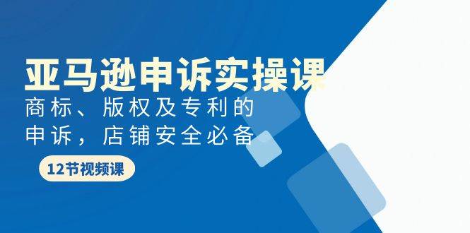 亚马逊-申诉实战课，商标、版权及专利的申诉，店铺安全必备去创吧-网创项目资源站-副业项目-创业项目-搞钱项目黑蛋搞钱