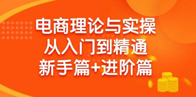 电商理论与实操从入门到精通 新手篇+进阶篇去创吧-网创项目资源站-副业项目-创业项目-搞钱项目黑蛋搞钱