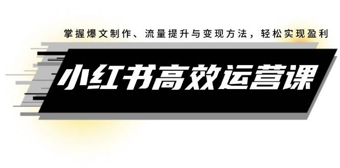小红书高效运营课：掌握爆文制作、流量提升与变现方法，轻松实现盈利去创吧-网创项目资源站-副业项目-创业项目-搞钱项目黑蛋搞钱