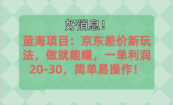 越早知道越能赚到钱的蓝海项目：京东大平台操作，一单利润20-30，简单…去创吧-网创项目资源站-副业项目-创业项目-搞钱项目黑蛋搞钱