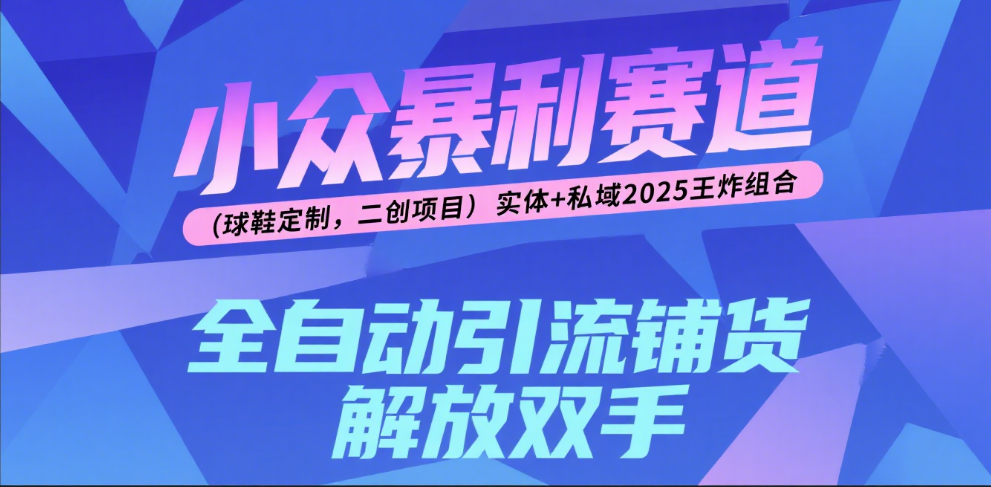 楠—小众暴利赛道（球鞋定制，二创项目）实体+私域2025王炸组合去创吧-网创项目资源站-副业项目-创业项目-搞钱项目黑蛋搞钱