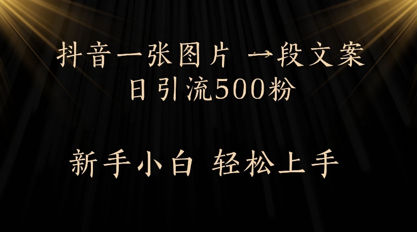 抖音一张图片，一段文案日引流500粉，新手小白 轻松上手去创吧-网创项目资源站-副业项目-创业项目-搞钱项目黑蛋搞钱