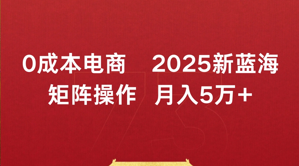 0成本电商2025新蓝海矩阵操作 月入5万+去创吧-网创项目资源站-副业项目-创业项目-搞钱项目黑蛋搞钱