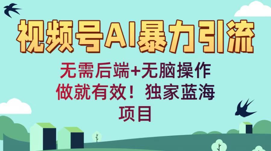视频号AI暴力引流：无需后端+无脑操作，做就有效！独家蓝海项目去创吧-网创项目资源站-副业项目-创业项目-搞钱项目黑蛋搞钱
