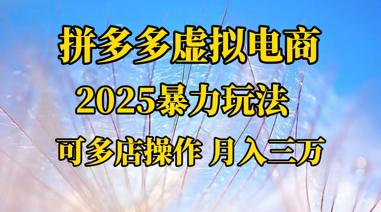 拼多多虚拟电商，不囤货不垫资的虚拟电商去创吧-网创项目资源站-副业项目-创业项目-搞钱项目黑蛋搞钱