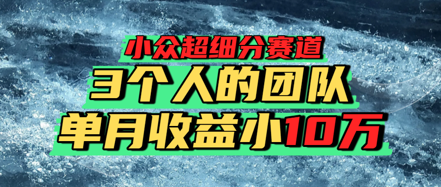小众超细分赛道，一年百万利润的盘子！去创吧-网创项目资源站-副业项目-创业项目-搞钱项目黑蛋搞钱