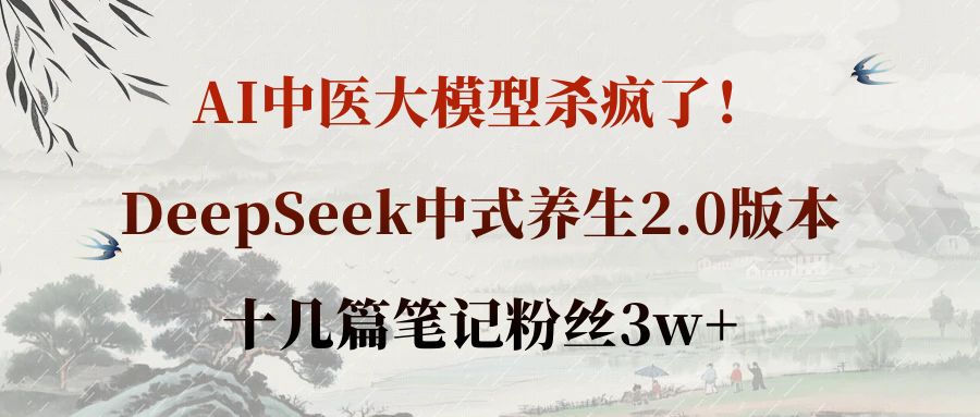 AI中医大模型杀疯了！DeepSeek中式养生2.0版本，十几篇笔记粉丝3w+去创吧-网创项目资源站-副业项目-创业项目-搞钱项目黑蛋搞钱