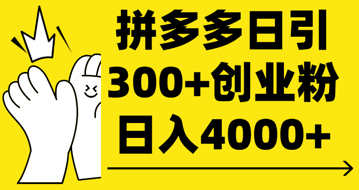 拼多多日引300+创业粉 日入4000+