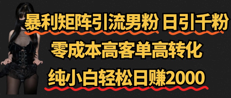 暴利矩阵引流男粉(日引千粉),零成本高客单高转化,纯小白轻松日赚2000+去创吧-网创项目资源站-副业项目-创业项目-搞钱项目黑蛋搞钱