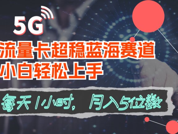 流量卡超稳蓝海赛道,小白轻松上手,每天1小时,月入5位数